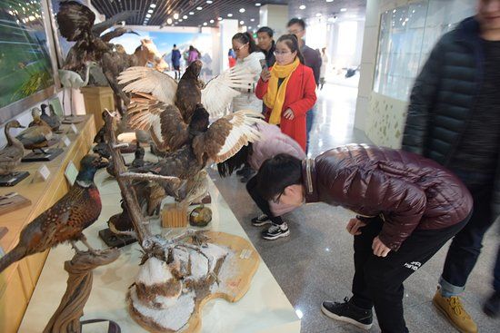 Specimen Museum of Ecology and Geography Institute
